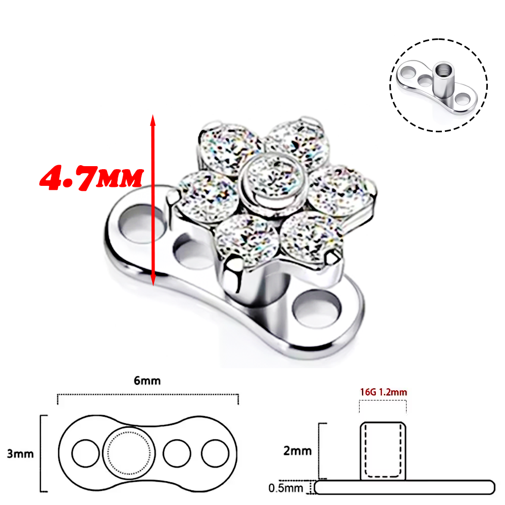 F136 liga de titânio de alta q - Body Jewelry Implant Grade avaliação e preço